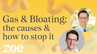 Gas and bloating the causes and how to stop it  Dr Will Bulsiewicz [upl. by Janel]