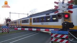 DUTCH RAILROAD CROSSING  Driebergen Rijnsburg  Arnhemse Bovenweg [upl. by Asilahs]