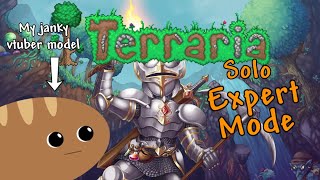 Obsidian armor meteorite hellstone and fishing  Terraria Solo Expert Mode [upl. by Kirre]