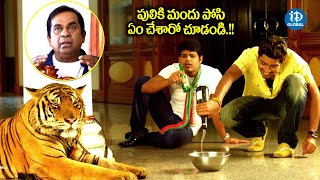 పులికి మందు పోసి ఏం చేశారో చూడండి  Allari Naresh Latest Movie Scene  iDream Global [upl. by Lazaro812]