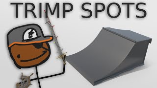 TF2  Trimp Spots With Brick [upl. by Hennahane209]