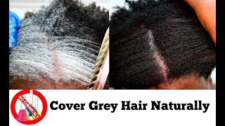 How To Turn White Or Grey Hair Into Black Naturally With No Chemicals Natural Hair Dye Step By Step [upl. by Naleag]