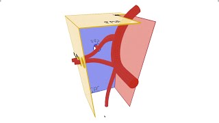 Pterygopalatine Fossa  Anatomy Contents and Borders [upl. by Sontich]