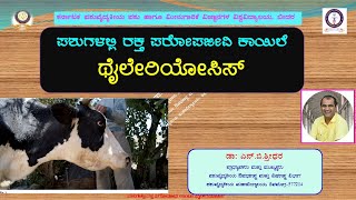 THEILERIOSIS IN CATTLE KANNADA TALK BY DR N B SHRIDHAR ಪಶುಗಳಲ್ಲಿ ಥೈಲೇರಿಯಾಸಿಸ್ ಕಾಯಿಲೆ ಡಾ  ಶ್ರೀಧರ [upl. by Eycal]