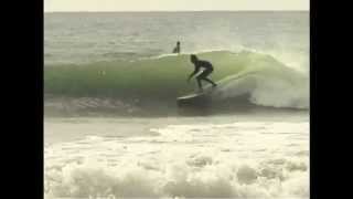 Longboard Fever OpeningCalifornia Surfingmusic Insect Surfersdolphins surfing too [upl. by Alehtse509]