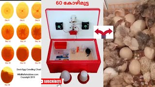 INCUBATOR 9544 211 110 ഇൻക്യൂബേറ്റർ വാങ്ങുവാൻ ആഗ്രഹിക്കുന്നവർ കാണുക Majeed [upl. by Ynohtnanhoj]