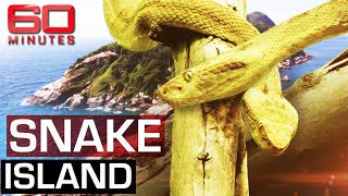 The deadliest place on earth Snake Island  60 Minutes Australia [upl. by Eitac]