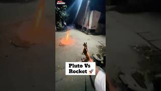 pluto Ki Traf Se Happy Diwali 🚀  minivlog diwali doglover [upl. by Nosnarb214]