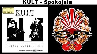 KULT  Spokojnie OFFICIAL AUDIO [upl. by Bealle]