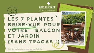 7 plantes brisevue pour des petits espaces extérieures terrasse balcon et petit jardin [upl. by Ielarol511]