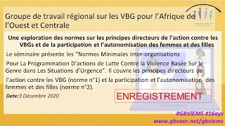 Principes directeurs de l’action contre VBG la particip et l’autonomisation des femmesfilles [upl. by Anauqal301]