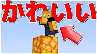 【Minecraft】振り返ったらかわいい子がいた神ゲーピラーズオブフォーチュン実況プレイ！ [upl. by Constant]