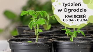 Kwiecień w ogrodzie Kalendarz ogrodnika na 0304  0904 Prace ogrodnicze w kwietniu [upl. by Ade]