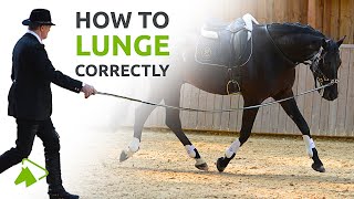 Lunging with the Cavesson or Bridle  What you need to know  wehorse [upl. by Rycca]