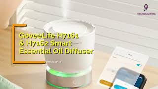 GoveeLife H7161  H7162 Smart Essential Oil Diffuser User Manual Tutorial [upl. by Merriman]