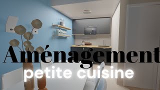 Amenagement de petite cuisine 4 conseils et une série de projets qui vont vous surprendre [upl. by Onailimixam]