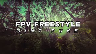 FPV Freestyle  MintPvke [upl. by Narual]