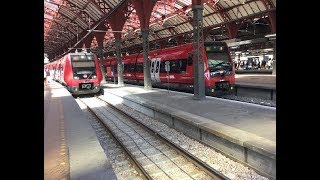 Trainspotting at Copenhagen Central Station [upl. by Blinny]