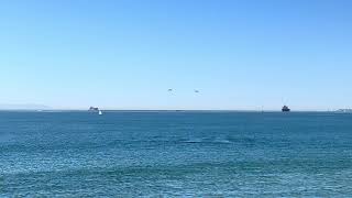 Seal beach pier November 8 2024 [upl. by Deni554]