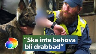 Tunnelbanan  Påverkad man med hund blir stoppad  Kanal 5 Sverige [upl. by Ahsekam]