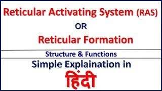 Reticular Activating System RASReticular Formation Structure amp Function in Hindi Bhushan Science [upl. by Ailadgim550]