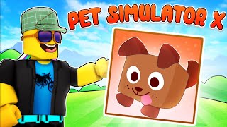 LOGGY BECOMING A BILLIONAIRE IN PET SIMULATOR X [upl. by Ahsital]