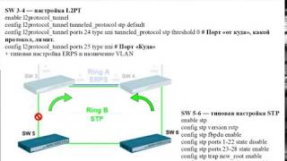 Layer 2 Protocol Tunneling L2PT и STP [upl. by Seif]