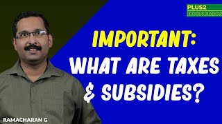 The Taxes and Subsidies [upl. by Zerlina320]