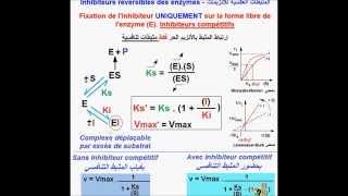 Enzymes Inhibiteurs compétitifs version Fr [upl. by Allwein706]