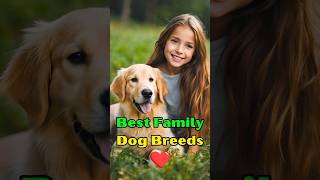 Best Family Dog Breeds Perfect Pets for Everyone familydog dogbreeds dogs doglover dogfacts [upl. by Lance]