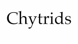 How to Pronounce Chytrids [upl. by Ayotnom139]