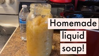 Make Your Own Liquid Castile Soap at Home [upl. by Einiar]