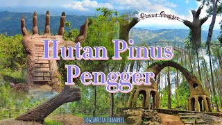 Keindahan Hutan Pinus Pengger Bantul Yogyakarta Wisata Pinus Jogja [upl. by Kenna]