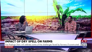 Impact of Dry Spell on Farms Farmers in the north are struggling to salvage shrinking harvests [upl. by Bahr]