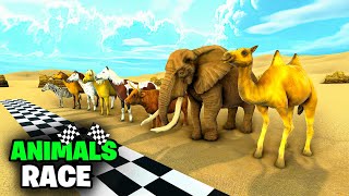 ULTIMATE ANIMAL RACE  Elephant Zebra Tiger Camel Horse  Animals Speed  Animal Race [upl. by Darlene734]