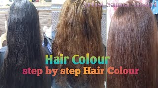 hair colour £ cutdown k sath  one daaye colour shade hush brown hair colour beauty [upl. by Ruhl]