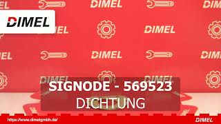 SIGNODE 569523 AB LAGER DICHTUNG [upl. by Enak]