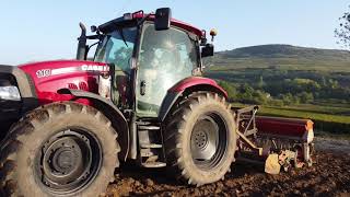 Semis de couvert végétaux avec le case maxxum 110 [upl. by Skinner]