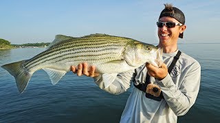 HUGE Striped Bass on Bass Rod  NEW PB [upl. by Eerized]