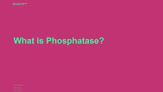 What is Phosphatase [upl. by Latrina]