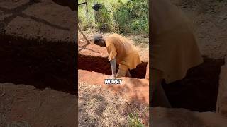 An African guy dug a 15meter pit Do you know what it is for shorts [upl. by Thagard432]