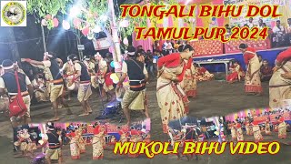 Tongali Bihu Dol Tamulpur 2024 Mukoli Bihu Video Bihu assam folk dance [upl. by Yddet589]