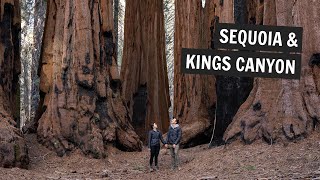 TWO National Parks in TWO DAYS Sequoia and Kings Canyon [upl. by Theo654]