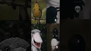 ATTITUDE OF BIRDS 😈😏💀☠️ kny fyp shorts short trendingvideo birds anime [upl. by Imuy773]