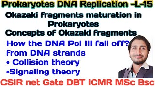 Prokaryotic DNA ReplicationL15 Okazaki fragments maturation concept of Okazaki fragments csir [upl. by Imekawulo]