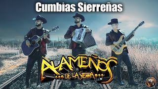 LOS ALAMEÑOS DE LA SIERRA MEGA MIX  Puras Cumbias Sierreñas 🤠 Huapangos Puro Pa Bailar [upl. by Noiwtna766]