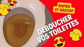 Comment déboucher les toilettes WC en 2 minutes [upl. by Rosenkrantz954]