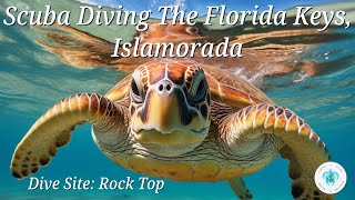 Scuba Diving Islamorada Florida Rocky Top Dive Site [upl. by Rebbecca]