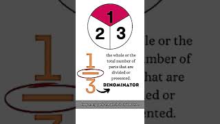 Numerator and Denominator [upl. by Aerdnael]