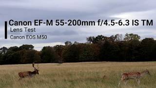 Canon EFM 55200mm Photo amp Video Test [upl. by Murdoch]